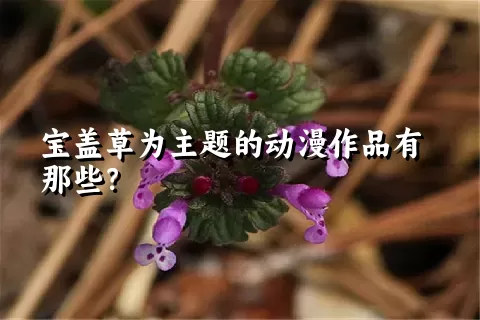 宝盖草为主题的动漫作品有那些？