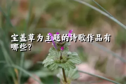 宝盖草为主题的诗歌作品有哪些？