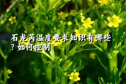 石龙芮温度要求知识有哪些？如何控制