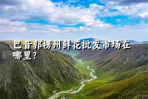 巴音郭楞州鲜花批发市场在哪里？