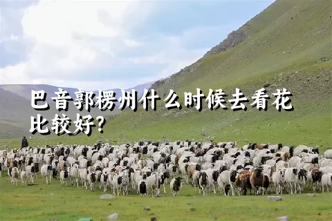 巴音郭楞州什么时候去看花比较好？