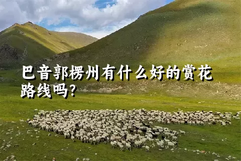 巴音郭楞州有什么好的赏花路线吗？