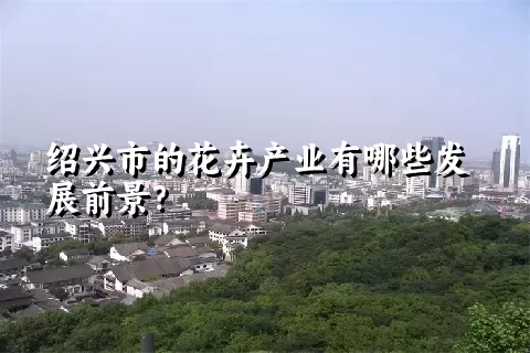 绍兴市的花卉产业有哪些发展前景？