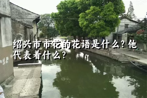 绍兴市市花的花语是什么？他代表着什么？