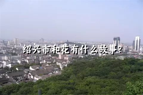 绍兴市和花有什么故事？