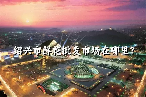 绍兴市鲜花批发市场在哪里？