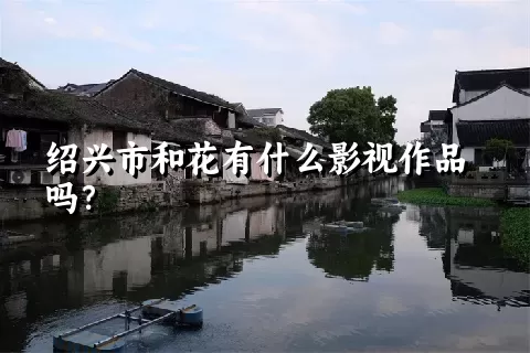 绍兴市和花有什么影视作品吗？