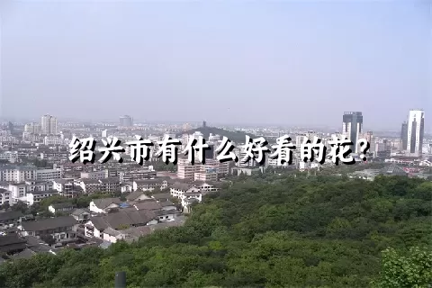 绍兴市有什么好看的花？