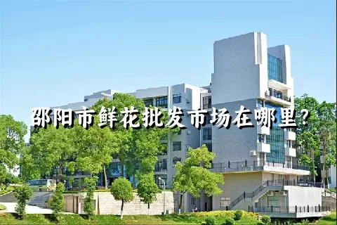 邵阳市鲜花批发市场在哪里？