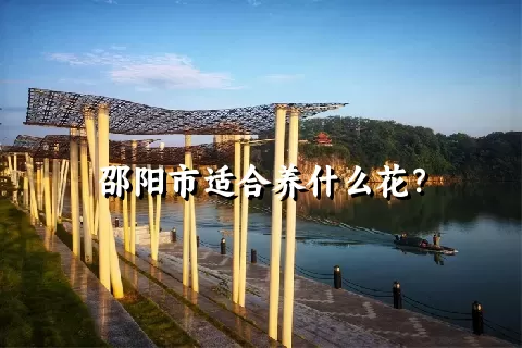 邵阳市适合养什么花？