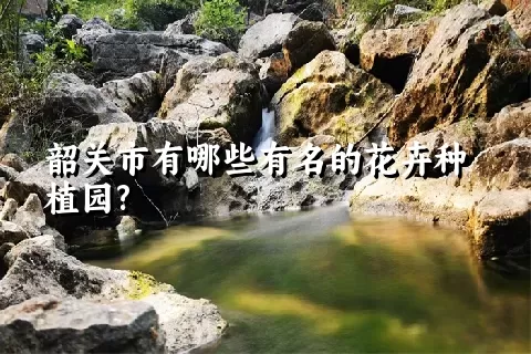 韶关市有哪些有名的花卉种植园?