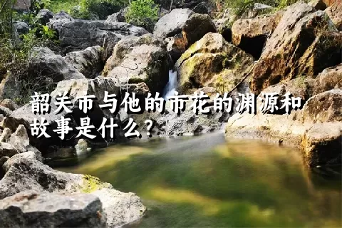 韶关市与他的市花的渊源和故事是什么？