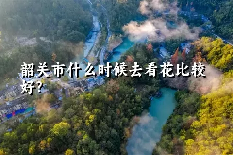 韶关市什么时候去看花比较好？