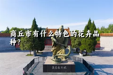 商丘市有什么特色的花卉品种？