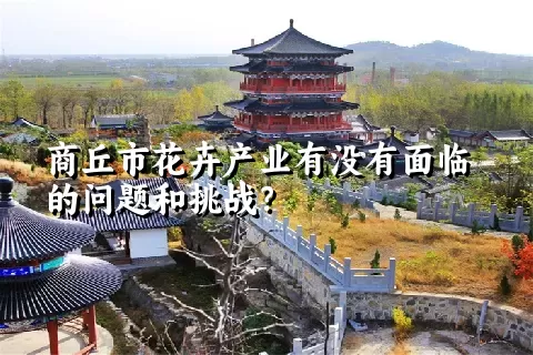 商丘市花卉产业有没有面临的问题和挑战？