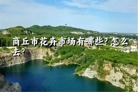 商丘市花卉市场有哪些？怎么去？