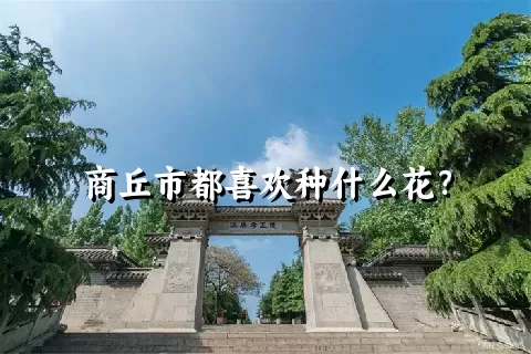 商丘市都喜欢种什么花？