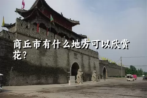 商丘市有什么地方可以欣赏花？