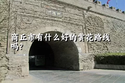 商丘市有什么好的赏花路线吗？