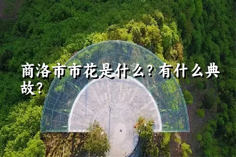 商洛市市花是什么？有什么典故？