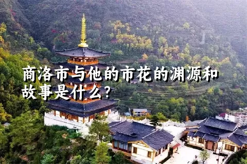 商洛市与他的市花的渊源和故事是什么？