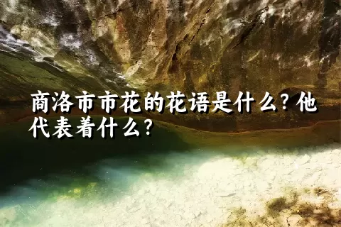 商洛市市花的花语是什么？他代表着什么？