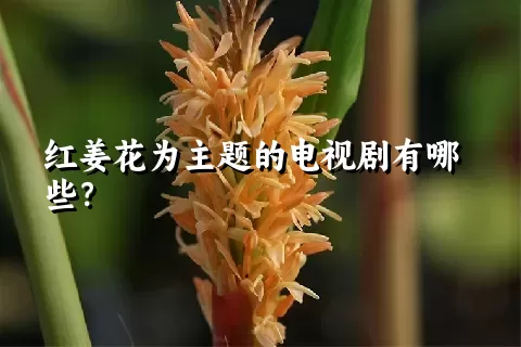 红姜花为主题的电视剧有哪些？