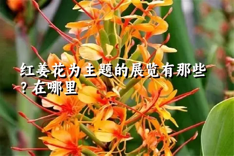 红姜花为主题的展览有那些？在哪里