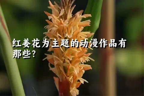 红姜花为主题的动漫作品有那些？