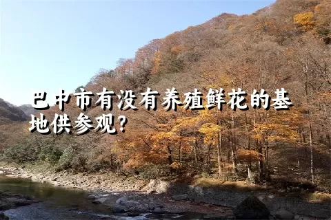 巴中市有没有养殖鲜花的基地供参观？