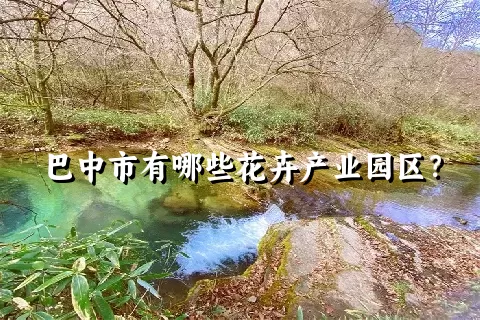 巴中市有哪些花卉产业园区？