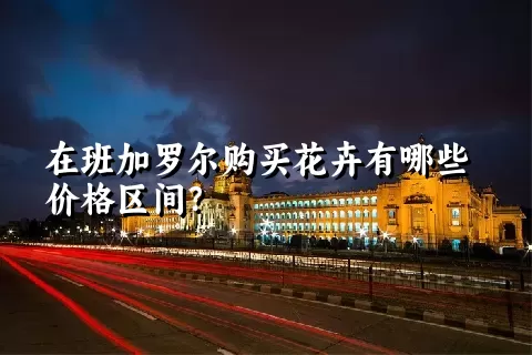 在班加罗尔购买花卉有哪些价格区间？