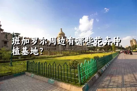 班加罗尔周边有哪些花卉种植基地？