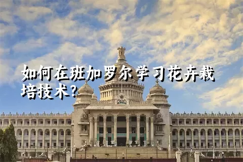 如何在班加罗尔学习花卉栽培技术？