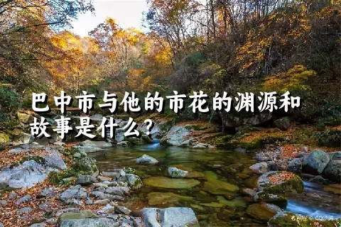 巴中市与他的市花的渊源和故事是什么？