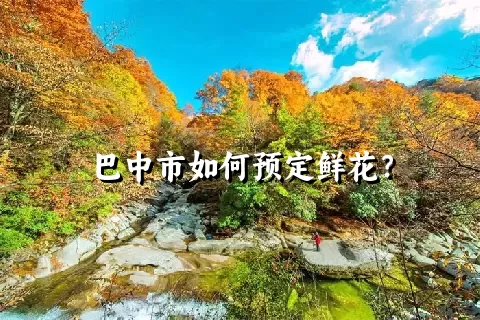 巴中市如何预定鲜花？