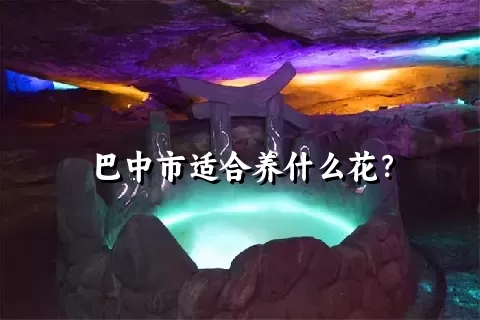 巴中市适合养什么花？