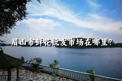 眉山市鲜花批发市场在哪里？