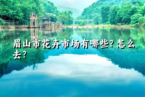 眉山市花卉市场有哪些？怎么去？