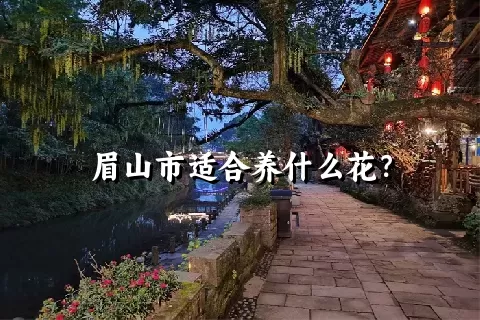 眉山市适合养什么花？