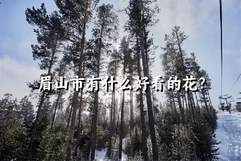 眉山市有什么好看的花？