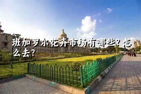 班加罗尔花卉市场有哪些？怎么去？