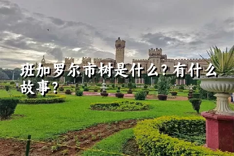 班加罗尔市树是什么？有什么故事？