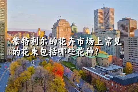 蒙特利尔的花卉市场上常见的花束包括哪些花种？