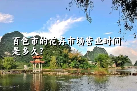 百色市的花卉市场营业时间是多久？