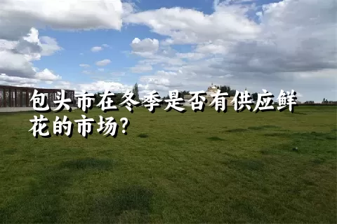 包头市在冬季是否有供应鲜花的市场？