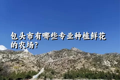 包头市有哪些专业种植鲜花的农场？