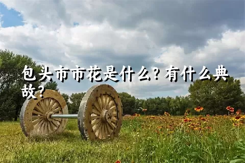 包头市市花是什么？有什么典故？