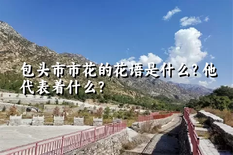 包头市市花的花语是什么？他代表着什么？