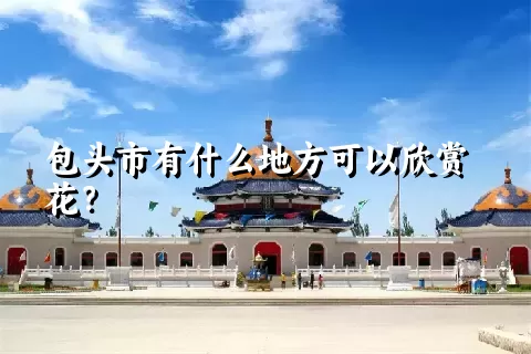 包头市有什么地方可以欣赏花？